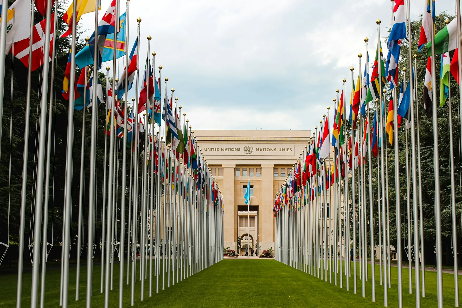 Multilateral organizations