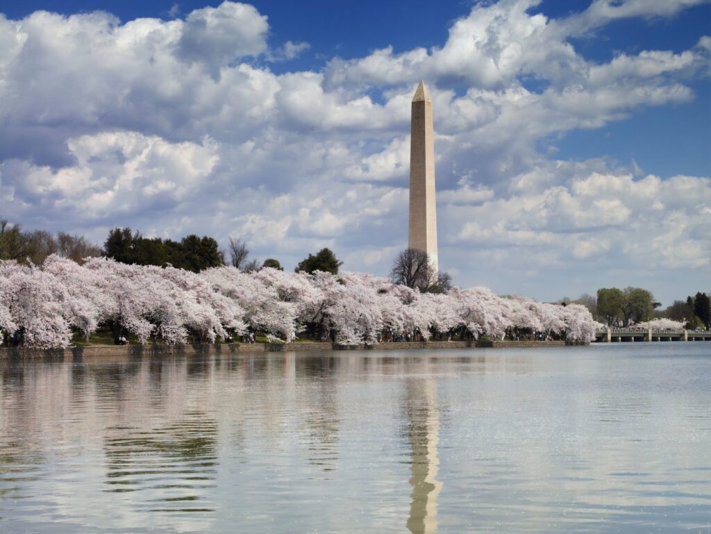 Semester in DC programs