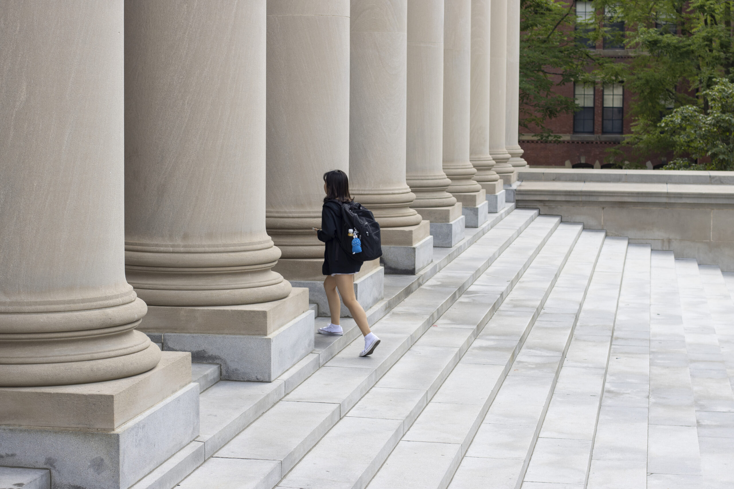 Policy internships