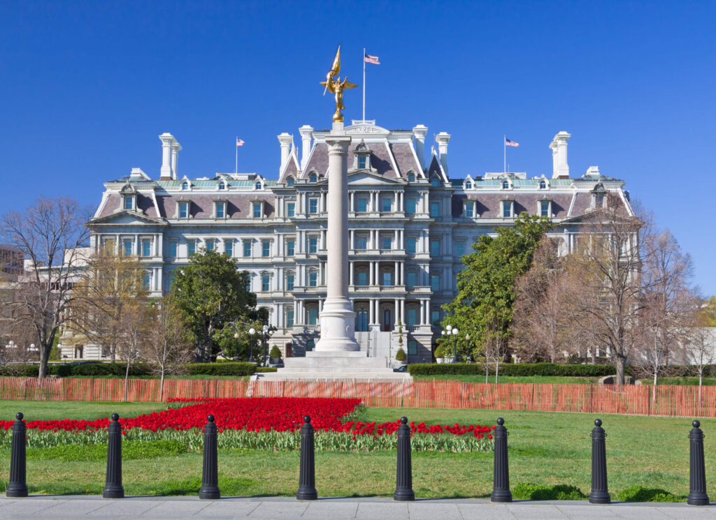 Policy fellowships