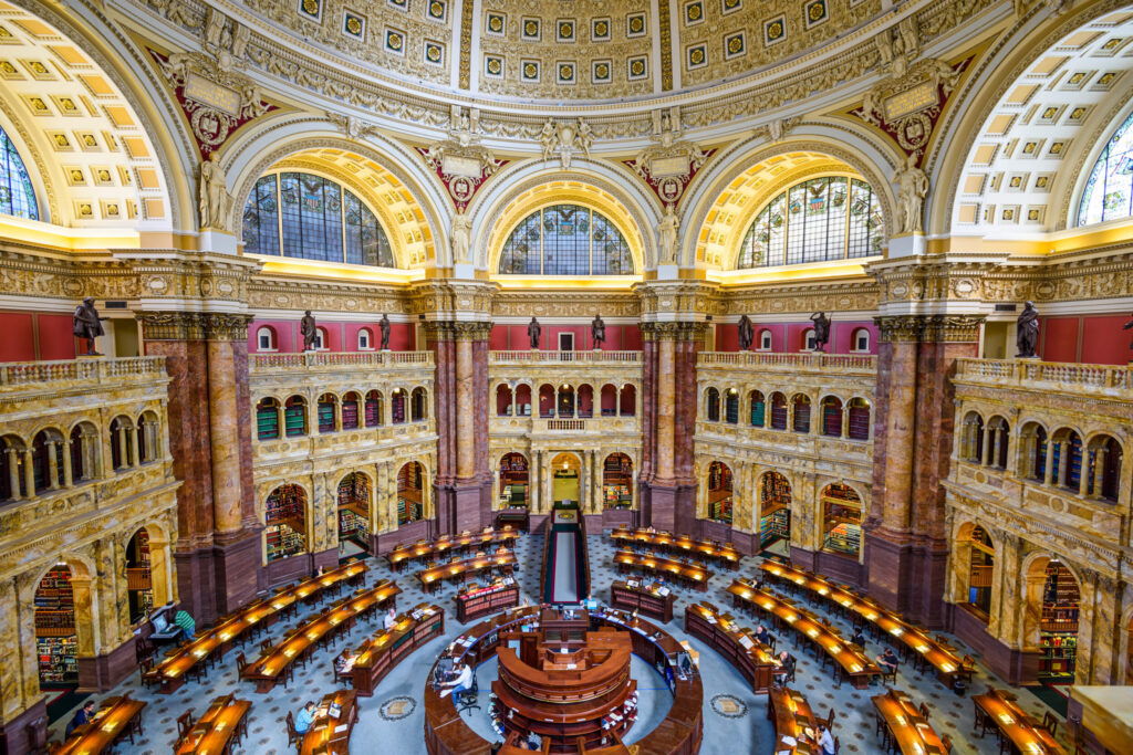 What are the best graduate degrees for policy work?