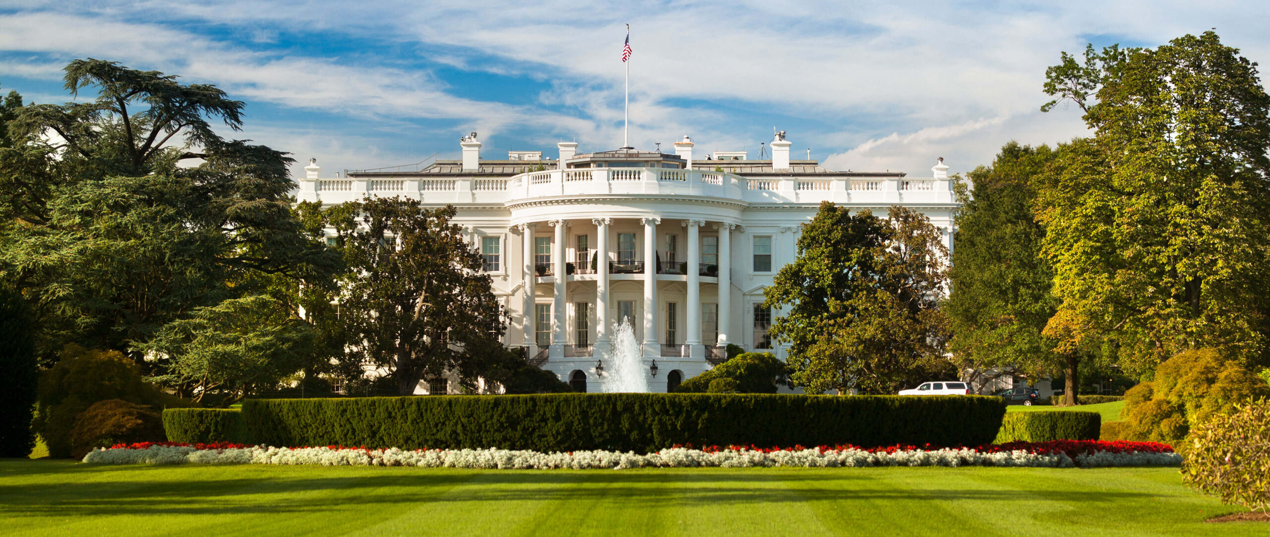 Your path into tech policy